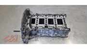 Motor Unterblock von einem Peugeot Partner