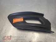 Abdeckplatte Nebelscheinwerfer links von einem Ford Tourneo Custom