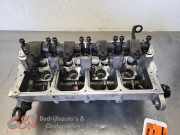 Zylinderkopf VW Transporter T5 Bus 0000650559