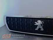 Grill von einem Peugeot Expert