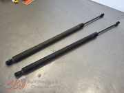 Set Gasdämpfer Heckklappe von einem Volkswagen Transporter