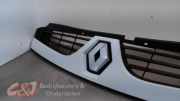 Grill von einem Renault Master (WIT)