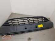 Grill von einem Ford Transit Custom (WIT)