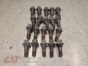 Radmuttern Set von einem Nissan Interstar