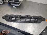 Kühlergrill Peugeot Expert III Kasten V 9812146277