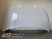 Motorhaube von einem Mercedes Citan (9147)
