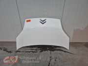 Motorhaube von einem Citroen Nemo (WIT)