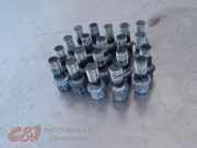 Radmuttern Set von einem Volkswagen Caddy