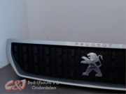 Grill von einem Peugeot Expert (EWP)