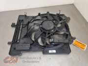 Lüfterhaube Ford Transit Connect V408 Kasten F1F18C607HF