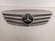 Kühlergrill MERCEDES-BENZ B-KLASSE (W245) B 200 TURBO 142 KW A1698800783
