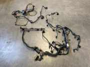 Motorleitungssatz Motor BMW 3er F30 12518519825