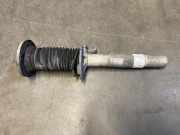 LEFT FRONT SPRING STRUT 597