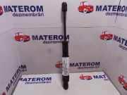Gasdruckfeder Motorhaube