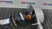 Fahrwerksfeder vorne