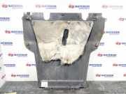 Unterfahrschutz Motor