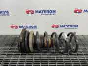 Fahrwerksfeder hinten