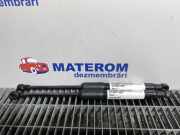 Gasdruckfeder Motorhaube