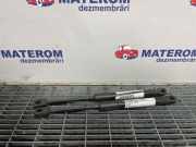 Gasdruckfeder Motorhaube