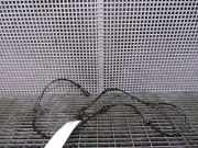 ABS-Sensor