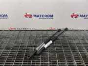Gasdruckfeder Motorhaube