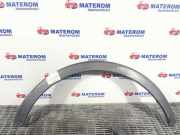 Kotflügelzierleiste hinten links