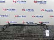 Stabilisator hinten