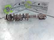 Federbein Links Vorne Daihatsu Sirion 2 (M3) Schrägheck 1.0 12V DVVT (1KR-FE) 2006-09
