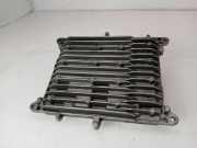 Motorsteuergerät 743429701 BMW 1 serie (F20) Schrägheck 5-drs 116i 1.6 16V (N13-B16A) 2011-10