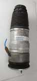 Stoßdämpfer Links Vorne 600635100C Tesla Model S Liftback 85 (L1S) 2014-12