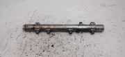 Einspritzdüsen Düsenstock 0445224065 Peugeot 307 SW (3H) Kombi 1.6 16V (TU5JP4(NFU)) 2008-02