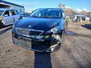 Kraftstoffpumpe Elektrisch 9674699980 Peugeot 308 SW (L4/L9/LC/LJ/LR) Kombi 5-drs 1.2 12V e-THP PureTech 130 (EB2ADTS(HNS)) 2017-03