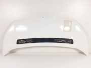 Motorhaube Fiat Scudo (270) Van 1.6 D Multijet (DV6UTED4(9HU)) 2007