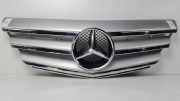 Grill A1698881660 Mercedes-Benz B (W245) Schrägheck 2.0 B-200 CDI 16V (OM640.941) 2005