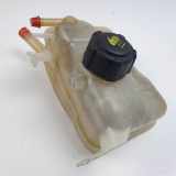 Ausgleichbehälter 217100005R Renault Megane III Berline (BZ) Schrägheck 5-drs 1.2 16V TCE 115 (H5F-400(H5F-A4)) 2014