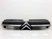 Grill 9636751980 Citroën C5 I Berline (DC) Schrägheck 1.8 16V (EW7J4(6FZ)) 2001