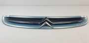 Grill 9632099177 Citroën Xsara Picasso (CH) Großraumlimousine 2.0 HDi 90 (DW10TD(RHY)) 2003