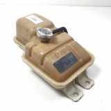 Ausgleichbehälter 254303E300 Kia 2.5 CRDi EX (vol.der) Motor 2,5 Ltr. - 103 kW 16V Turbo Diesel D4CB 5 puertas 2002 2002