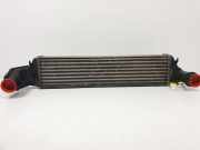 Ladeluftkühler 17512246795 BMW 3 serie (E46/4) Limousine 320d 16V (M47-D20(204D1)) 1999