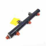 Einspritzdüsen Düsenstock Jaguar S-type (X200) Limousine 2.7 TD 24V Euro IV (7G) 2004