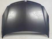 Motorhaube 5PUERTAS Opel Insignia Limousine 2.0 CDTI 16V 130 Ecotec (A20DTJ) 2008