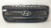 Grill E865612B010 Hyundai Santa Fe II (CM) SUV 2.2 CRDi 16V 4x4 (D4EB) 2008