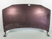 Motorhaube Ford Galaxy (WGR) Großraumlimousine 2.3i 16V SEFI (Y5B) 1997