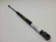 Gasdruckfeder Vorne 1J0023359 Volkswagen III CABRIO (1E7) 1.6 Highline Motor 1,6 Ltr. - 74 kW 2 puertas 1998 1998