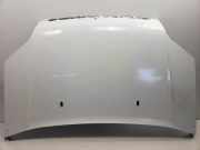 Motorhaube Ford Transit Connect Van 1.8 TDdi LWB Euro 4 (P7PB) 2009