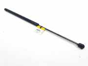 Gasdruckfeder Vorne 1M0823359A Seat (1M1) 1.6 16V 105 SPORT Motor 1,6 Ltr. - 77 kW 16V 5 puertas 2002 2002