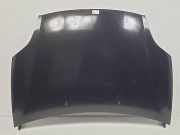 Motorhaube 5PUERTAS Fiat Bravo (198A) Schrägheck 1.9 JTD 16V Multijet 150 (937.A.5000) 2008