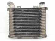 Ladeluftkühler 281904A21X Hyundai H-1/H-200 Van 2.5 Tdi (D4BH) 2000
