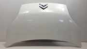 Motorhaube Citroën Nemo (AA) Van 1.3 HDi 75 (F13DTE5(FHZ)) 2012