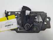 Schlossfänger Motorhaube BM5A16700AF Ford (CBS) Titanium 2.0 TDCi 163 CV Powershift 4x4 Motor 2.0 Ltr. - 120 kW TDCi CAT 5 puertas 2012 2012